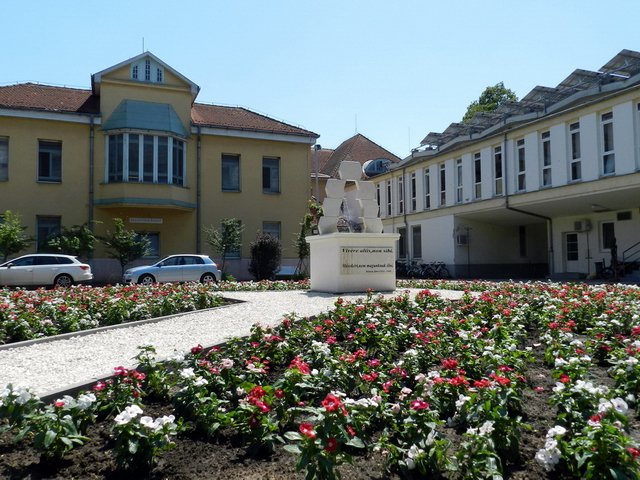 Semmelweis nap 2017 060